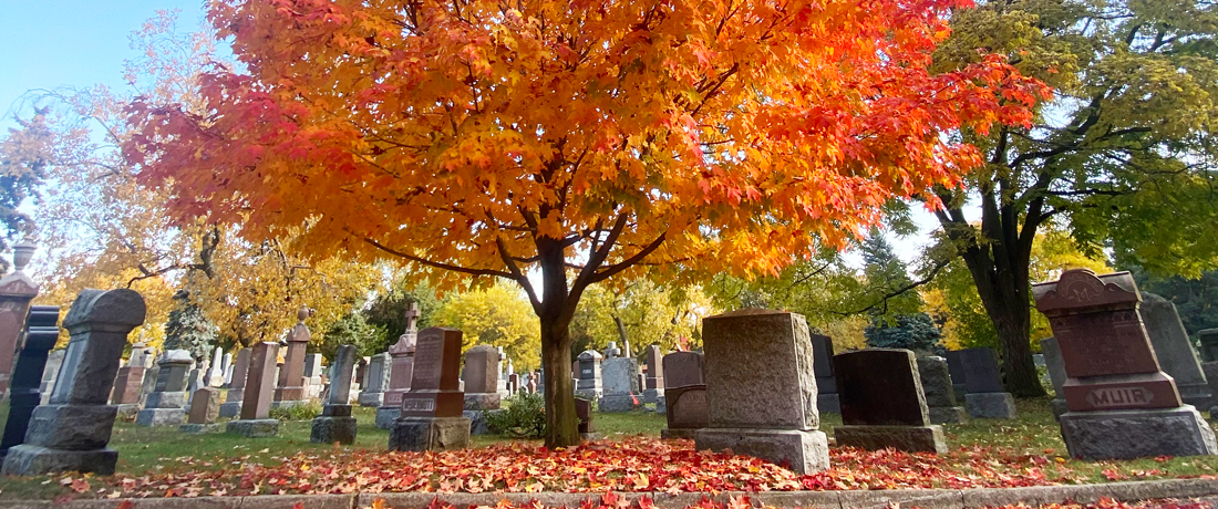 Cemetery view